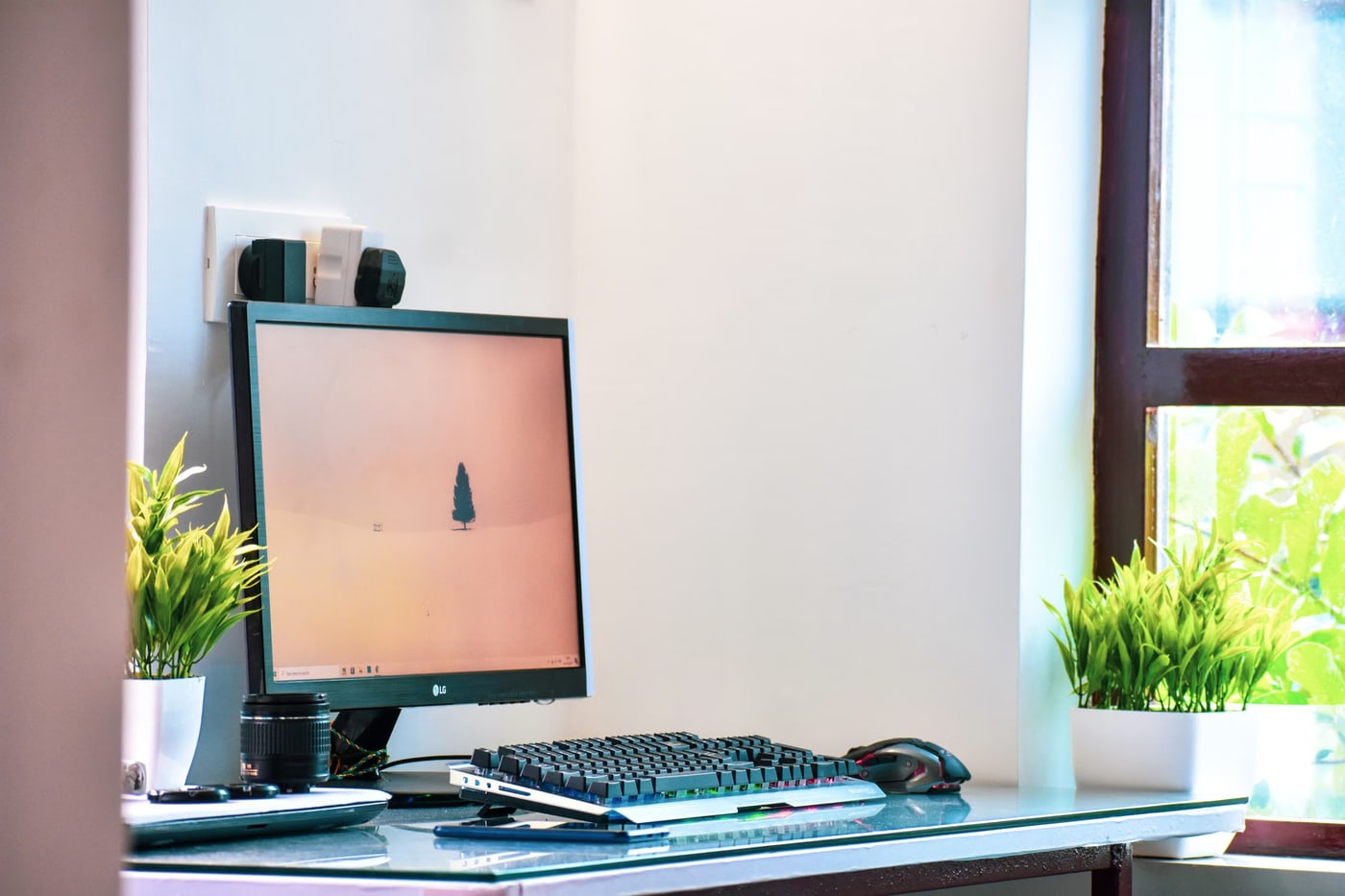 Bright home-office desk beside a window and plants
